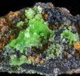 Pyromorphite Crystal Cluster - China #63674-2